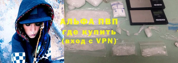 гашик Алексин