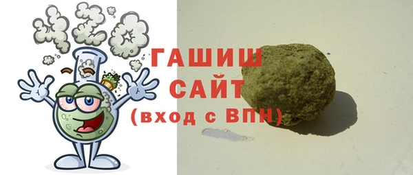 гашик Алексин
