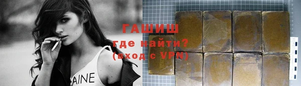 гашик Алексин