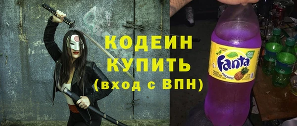 гашик Алексин