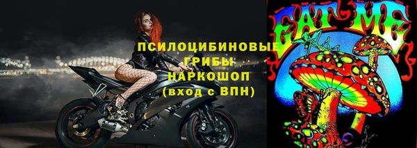 мяу мяу мука Алзамай