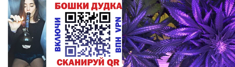кракен онион  дарнет шоп  Ардатов  Бошки Шишки MAZAR 